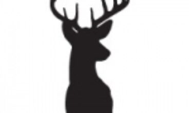 Tyrer & Hart Property Specialists