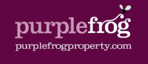 Purple Frog Head Office