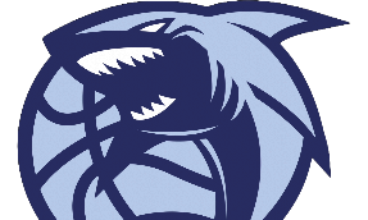 University of Plymouth Sharks Basketball Club Interview