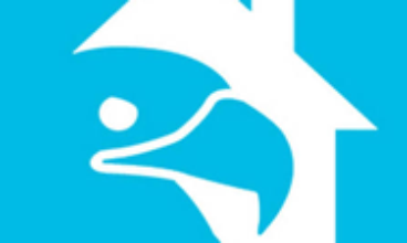 Condor Properties Reviews I Student Letting Agents – WhichPad